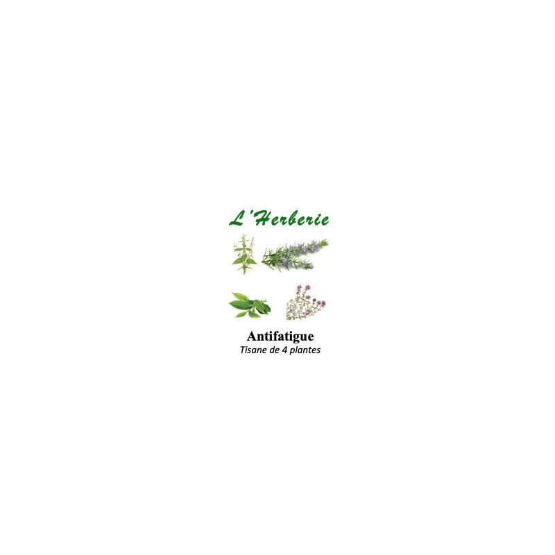 ANTIFATIGUE Mélange de 4 plantes Tisanes 100 gr
