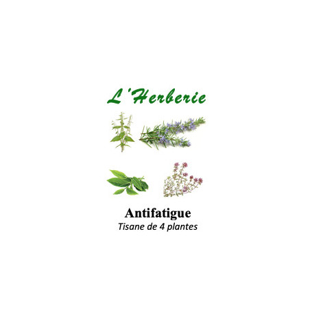 ANTIFATIGUE Mélange de 4 plantes Tisanes 100 gr