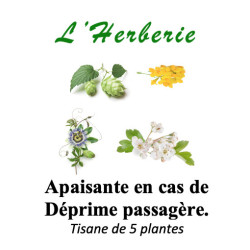 Tisane Sérénité Apaisante – Mélange de 5 plantes (anciennement « Déprime passagère ») – 100 g
