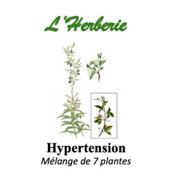 Tisane Équilibre & Sérénité – Mélange de 7 plantes (anciennement “Hypertension”) – 100 g