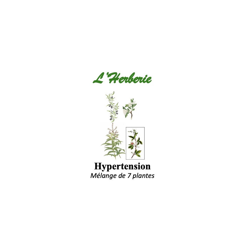 Hypertension Mélange de 7 plantes Tisanes 100 gr Hypertension Mélange de 7 plantes Tisanes 100 gr