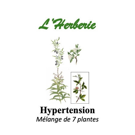 Hypertension Mélange de 7 plantes Tisanes 100 gr
