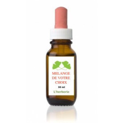 Mélange personnel – Élixirs floraux (Fleurs de Bach, Deva, Californien, L’Herberie)