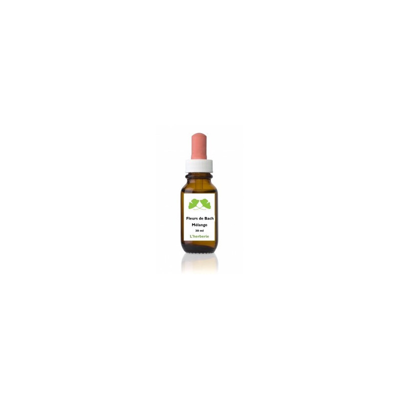 Fleur de Bach n° 252 CHOC ANAPHYLACTIQUE Fleur de Bach n° 252 CHOC ANAPHYLACTIQUE