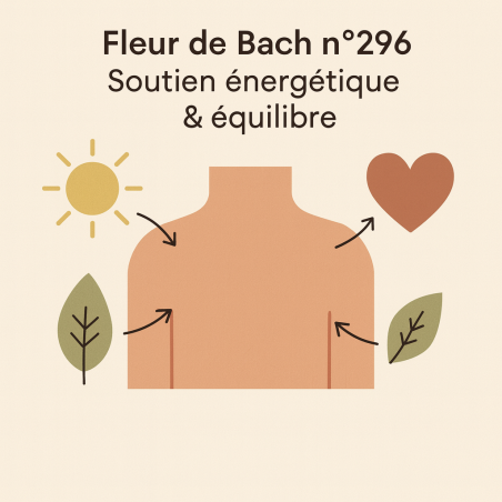Fleur de Bach n° 296 POLYKYSTOSE RÉNALE