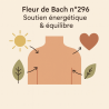 Fleur de Bach n°296 – Soutien énergétique & équilibre (anciennement « Polykystose rénale »)