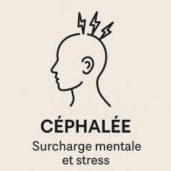 Fleur de Bach n°246 – Apaisement & clarté mentale (anciennement « Céphalée »)