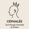 Fleur de Bach n°246 – Apaisement & clarté mentale (anciennement « Céphalée »)