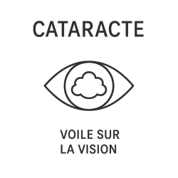 Fleur de Bach n°244 – Clarté & vision intérieure (anciennement « Cataracte »)