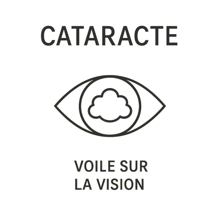 Fleur de Bach n°244 – Clarté & vision intérieure (anciennement « Cataracte »)