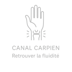 Fleur de Bach n°243 – Souplesse & fluidité (anciennement « Canal carpien »)