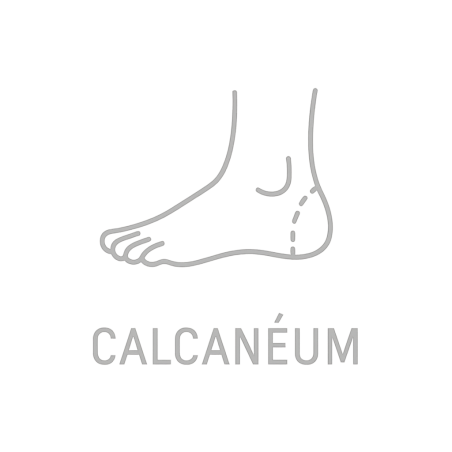 Fleur de Bach n°242 – Ancrage & stabilité (anciennement Calcanéum)