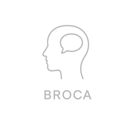 Fleur de Bach n°241 – Expression & communication (anciennement « Broca »)