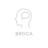 Fleur de Bach n°241 – Expression & communication (anciennement « Broca »)