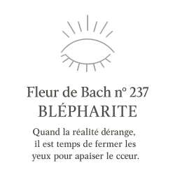 Fleur de Bach n°237 – Clarté du regard & apaisement (anciennement « Blépharite »)