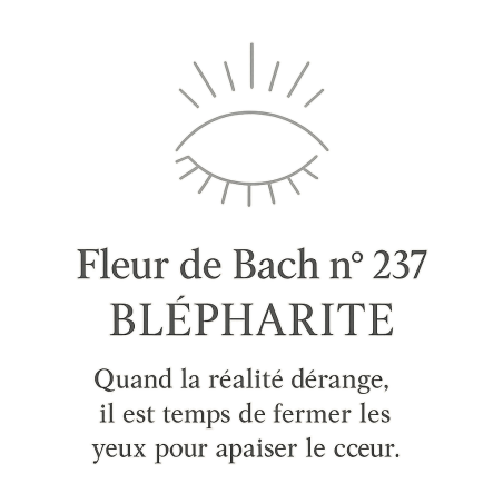 Fleur de Bach n°237 – Clarté du regard & apaisement (anciennement « Blépharite »)