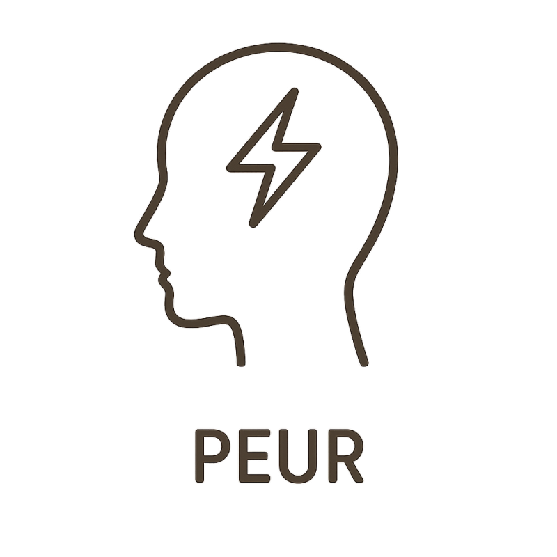 Élixir n°155 – Peur & courage intérieur (mélange floral Deva & Biofloral, anciennement « Peur »)