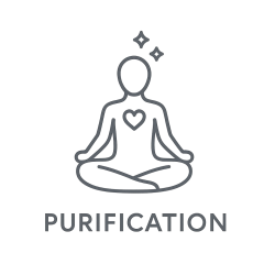Élixir n°161 – Purification & clarté intérieure (mélange floral Deva & Biofloral, anciennement « Purification »)