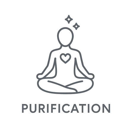 Élixir n°161 – Purification & clarté intérieure (mélange floral Deva & Biofloral, anciennement « Purification »)