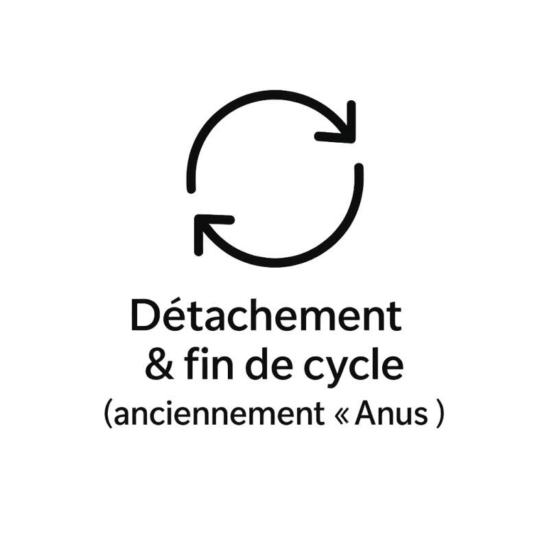 Fleur de Bach n°232 – Détachement & fin de cycle (anciennement « Anus »)