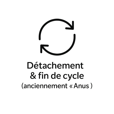 Fleur de Bach n°232 – Détachement & fin de cycle (anciennement « Anus »)