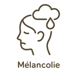 Élixir n°129 – Mélancolie (mélange floral Deva & Biofloral)