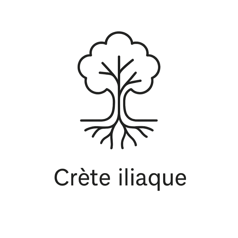 Fleur de Bach n°289 – Ancrage & stabilité intérieure (anciennement « Crête iliaque »)
