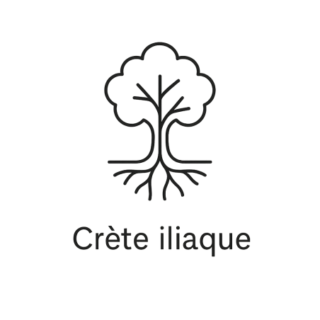 Fleur de Bach n°289 – Ancrage & stabilité intérieure (anciennement « Crête iliaque »)
