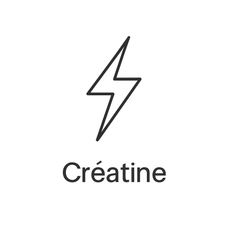 Fleur de Bach n°287 – Énergie vitale & force intérieure (anciennement « Créatine »)
