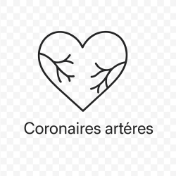 Fleur de Bach n°276 – Ouverture du cœur & circulation de vie (anciennement « Coronaires artères »)