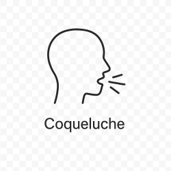Fleur de Bach n°274 – Libération & souffle retrouvé (anciennement « Coqueluche »)