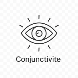 Fleur de Bach n°271 – Apaisement du regard intérieur (anciennement « Conjonctivite »)