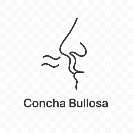 Fleur de Bach n° 267 CONCHA BULLOSA
