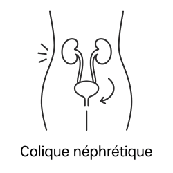 Fleur de Bach n°260 – Libération & fluidité intérieure (anciennement « Colique néphrétique »)
