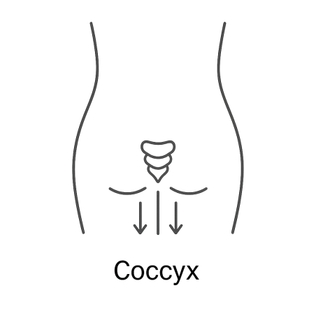 Fleur de Bach n°259 – Soutien & enracinement (anciennement « Coccyx »)