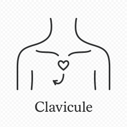 Fleur de Bach n°257 – Expression & ouverture du cœur (anciennement « Clavicule »)