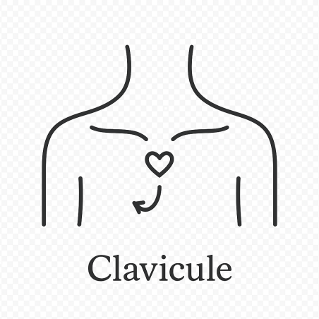 Fleur de Bach n°257 – Expression & ouverture du cœur (anciennement « Clavicule »)