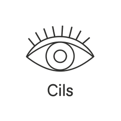 Fleur de Bach n°254 – Protection & délicatesse du regard (anciennement « Cils »)