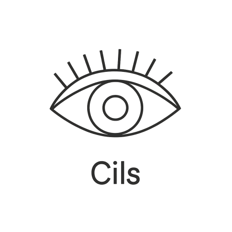 Fleur de Bach n°254 – Protection & délicatesse du regard (anciennement « Cils »)