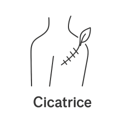 Fleur de Bach n°253 – Guérison & mémoire apaisée (anciennement « Cicatrice »)