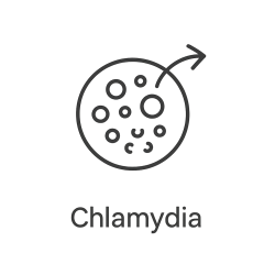 Fleur de Bach n°251 – Purification & clarté relationnelle (anciennement « Chlamydia »)