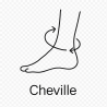 Fleur de Bach n°250 – Souplesse & stabilité intérieure (anciennement « Cheville »)