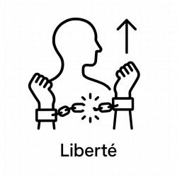 Élixir n°124 – Liberté (mélange d'Élixirs Floraux Européens Deva & Fleurs de Bach Biofloral)