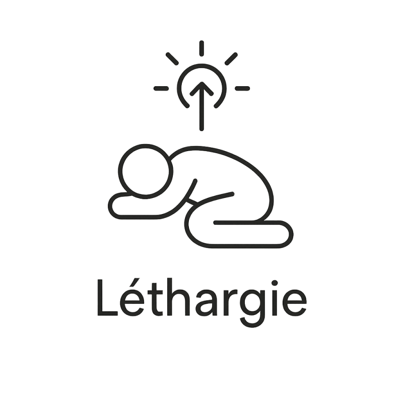 Élixir n°123 – Léthargie (mélange d'Élixirs Floraux Européens Deva & Fleurs de Bach Biofloral)