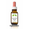 Fleur de Bach n° 297 HYPOCONDRIE