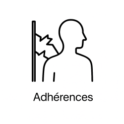 Fleur de Bach n°223 – Détachement & libération intérieure (anciennement « Adhérences »).