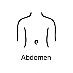 Fleur de Bach n°221 – Abdomen & équilibre émotionnel (anciennement « Abdomen / Ventre »).
