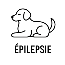 Fleur de Bach n°104 – Apaisement & équilibre (anciennement « Épilepsie chez le chien ») – Mélange avec Biofloral