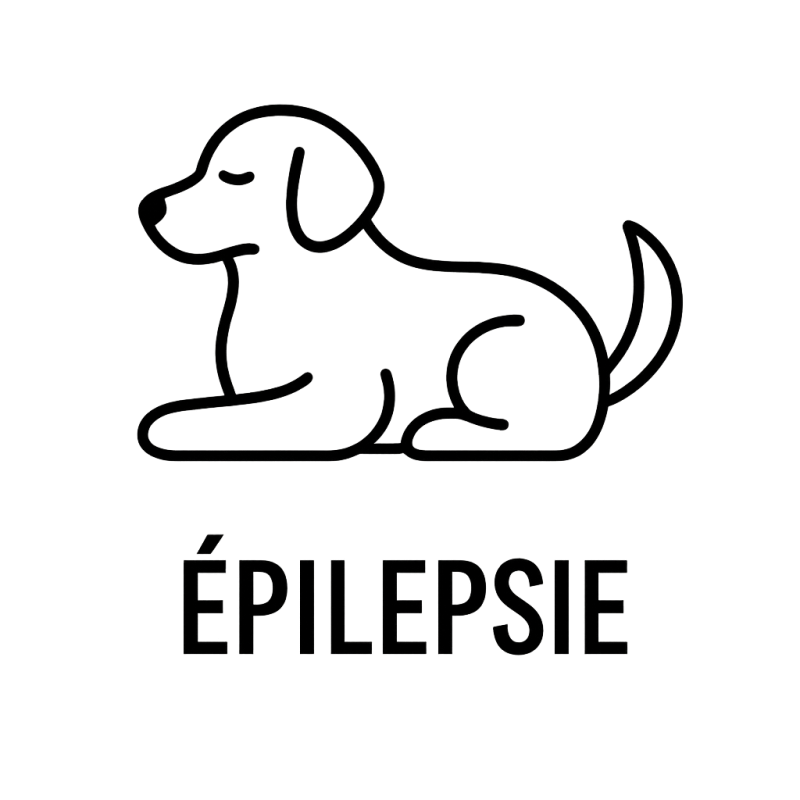 Fleur de Bach n°104 – Apaisement & équilibre (anciennement « Épilepsie chez le chien ») – Mélange avec Biofloral