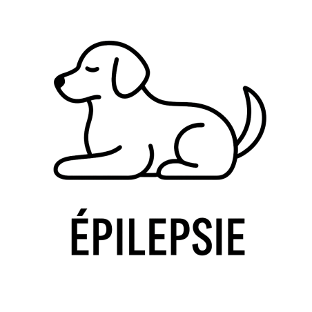 Fleur de Bach n°104 – Apaisement & équilibre (anciennement « Épilepsie chez le chien ») – Mélange avec Biofloral